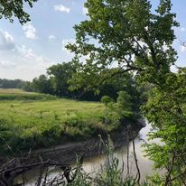 A green meadow next to a river.