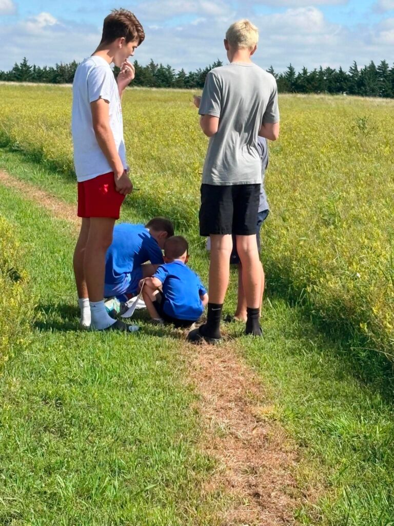 Kids checking out something on a hiking trail.
