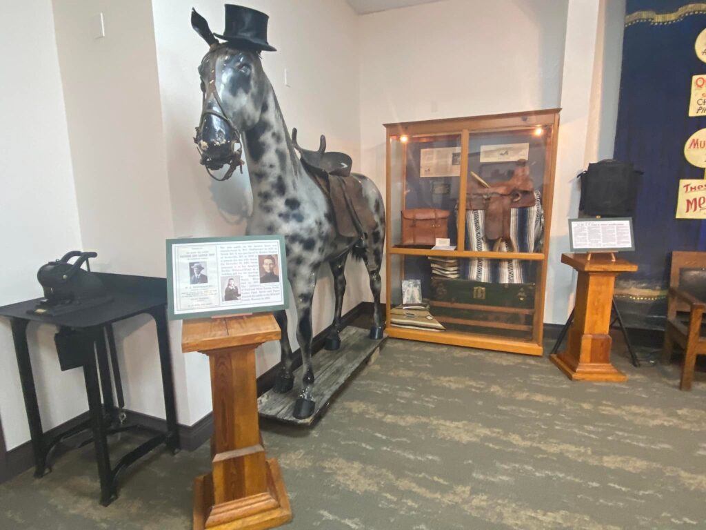Life-size horse wearing a top hat.